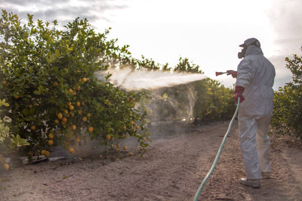 Best Pest Control for Warehouses  in Crowley Lake, CA